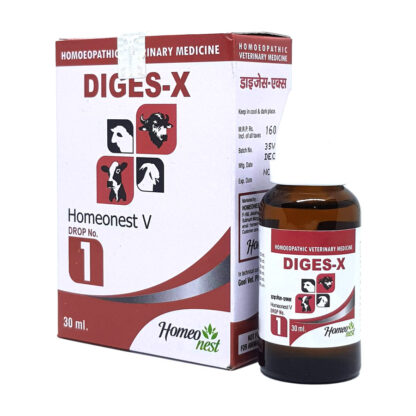 Homeonest V Drops No. 1 DIGES-X - Image 3